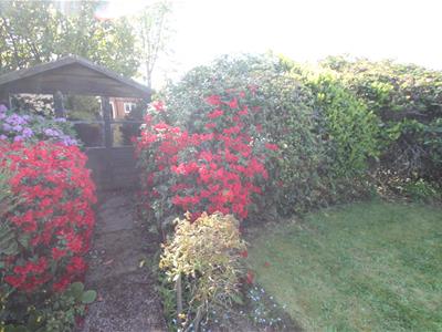 Picture 27